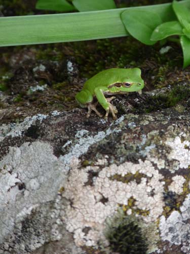 110419-Sardinien-242