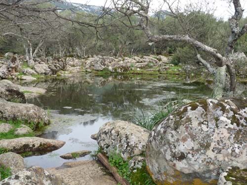 110419-Sardinien-249
