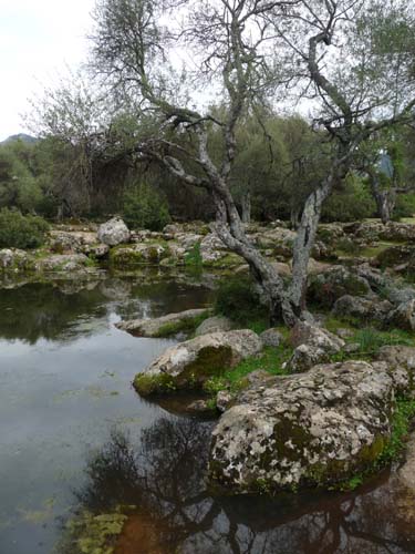 110419-Sardinien-251