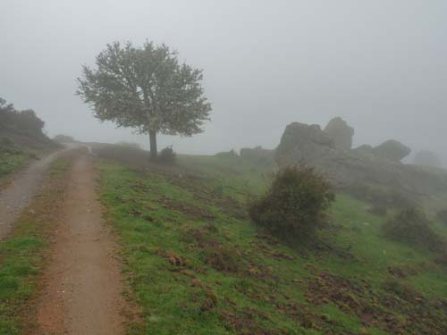 110419-Sardinien-252