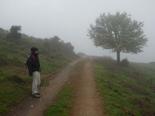 110419-Sardinien-254