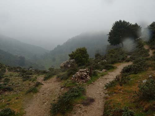 110419-Sardinien-262