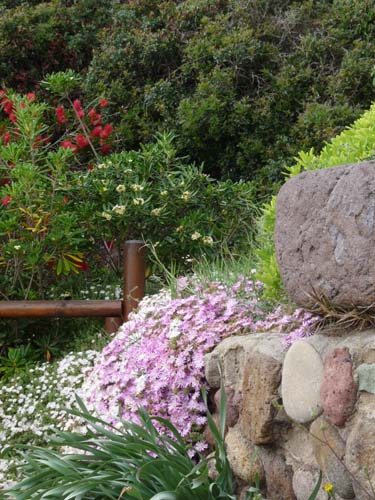 110419-Sardinien-264