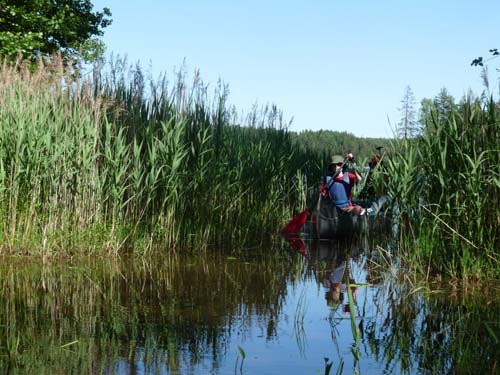 Dalsland-Nordmarken-448