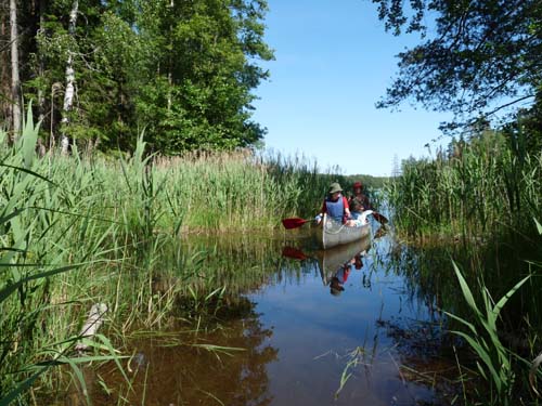 Dalsland-Nordmarken-452