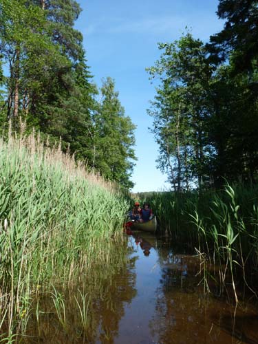 Dalsland-Nordmarken-455