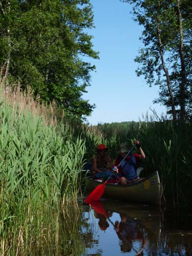 Dalsland-Nordmarken-456