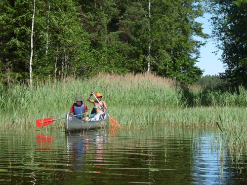 Dalsland-Nordmarken-459