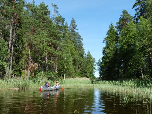 Dalsland-Nordmarken-462