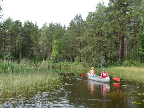 Dalsland-Nordmarken-577