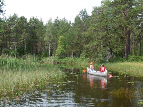 Dalsland-Nordmarken-578