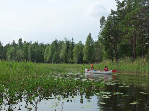 Dalsland-Nordmarken-579