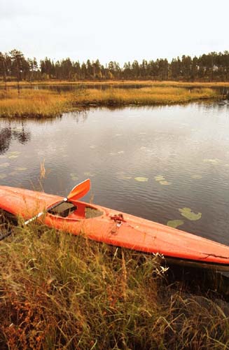 Norwegen Schweden 1983 - 024