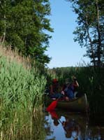 Dalsland-Nordmarken-456