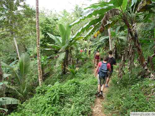 Wandern in den Tropen