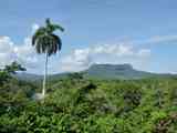 02_Baracoa_El_Yunque_Boca_Yumuri_091