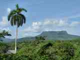 02_Baracoa_El_Yunque_Boca_Yumuri_092