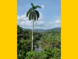 02_Baracoa_El_Yunque_Boca_Yumuri_095