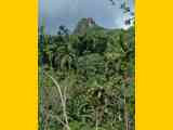 02_Baracoa_El_Yunque_Boca_Yumuri_160