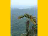 02_Baracoa_El_Yunque_Boca_Yumuri_185