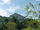 02_Baracoa_El_Yunque_Boca_Yumuri_236