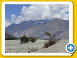Ladakh_Nubra_0175_70051