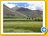 Ladakh_Nubra_0647_70523