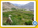 Ladakh_Nubra_0763_70639