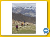 Ladakh_Nubra_0833_70709