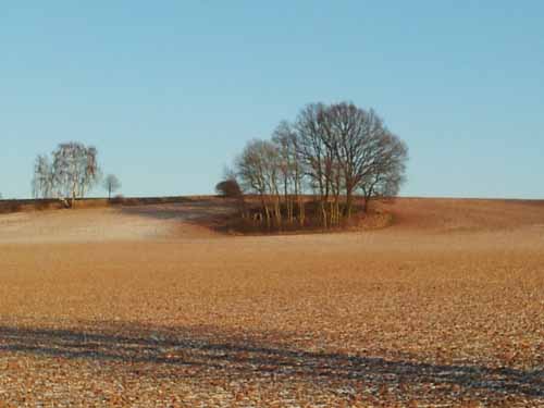 Ludolfshausen-und-Umgebung-003