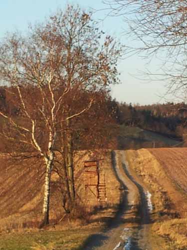 Ludolfshausen-und-Umgebung-005
