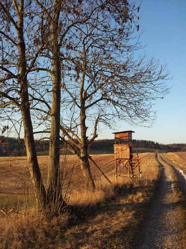 Ludolfshausen-und-Umgebung-006
