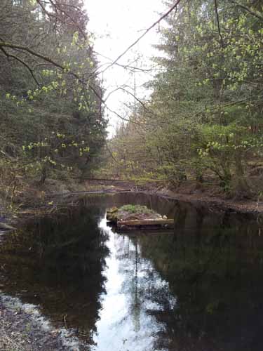 Ludolfshausen-und-Umgebung-016
