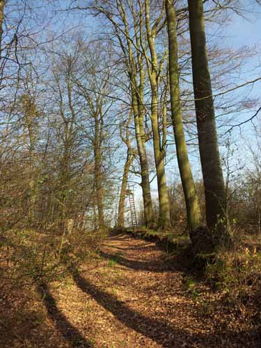 Ludolfshausen-und-Umgebung-018