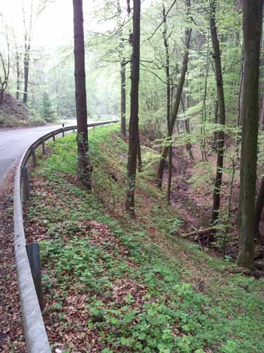 Ludolfshausen-und-Umgebung-021