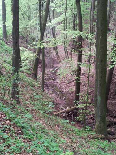 Ludolfshausen-und-Umgebung-022