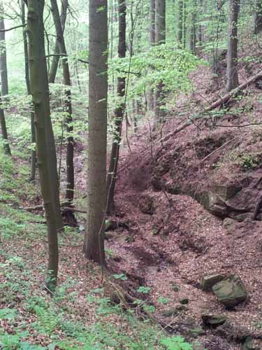 Ludolfshausen-und-Umgebung-023