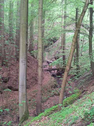 Ludolfshausen-und-Umgebung-024