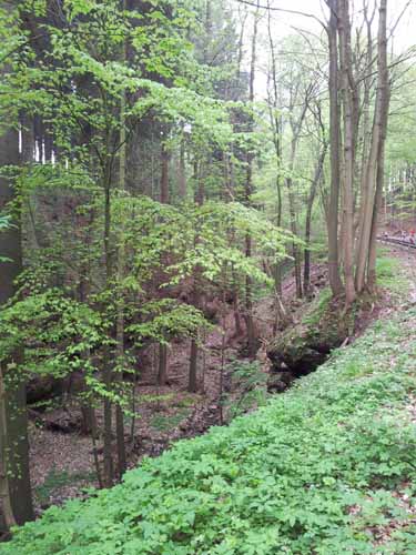 Ludolfshausen-und-Umgebung-026