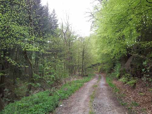 Ludolfshausen-und-Umgebung-031