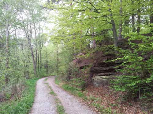 Ludolfshausen-und-Umgebung-033