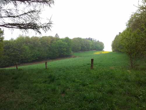 Ludolfshausen-und-Umgebung-037