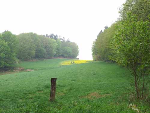 Ludolfshausen-und-Umgebung-038