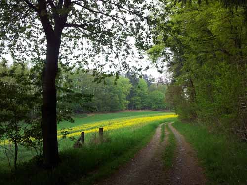 Ludolfshausen-und-Umgebung-039