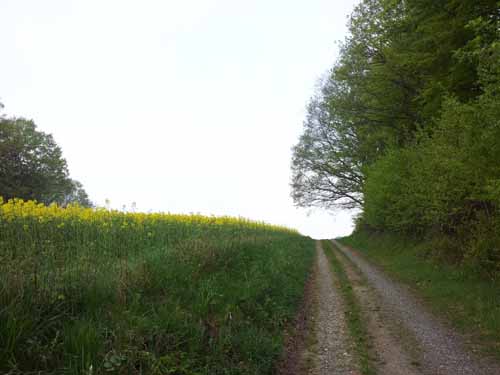 Ludolfshausen-und-Umgebung-041