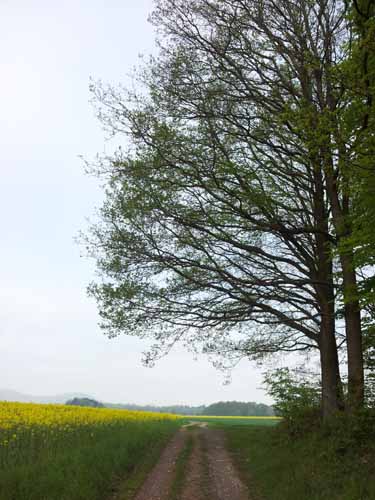 Ludolfshausen-und-Umgebung-042