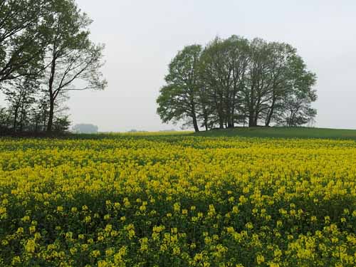 Ludolfshausen-und-Umgebung-044