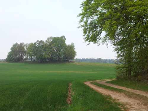 Ludolfshausen-und-Umgebung-045