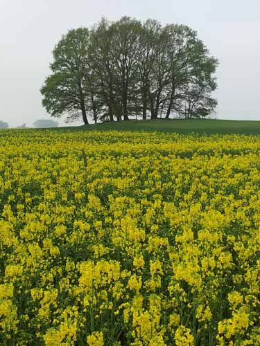 Ludolfshausen-und-Umgebung-046