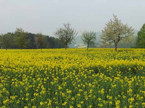 Ludolfshausen-und-Umgebung-047